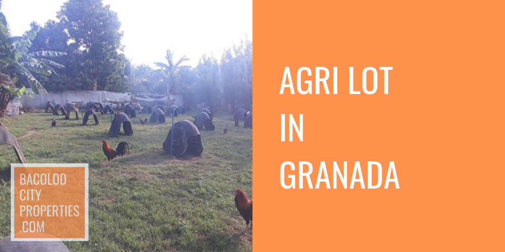 (Not Available) Agri Lot For Sale Rush in Granada, Bacolod