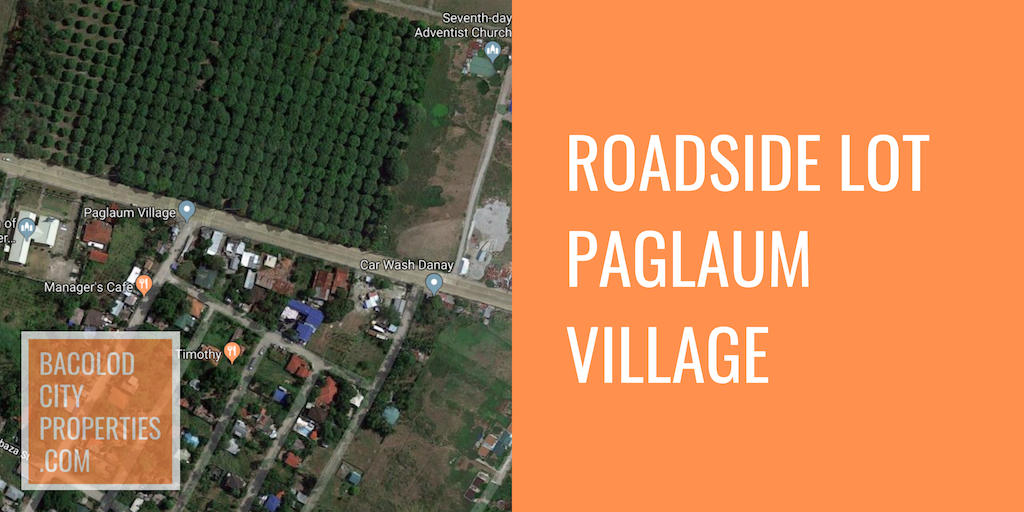 Roadside Residential Lot in Paglaum Village Going to Murcia.png