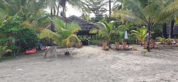 Lots in Sugar Beach (walking distance to beach) at Brgy. Nauhang ...