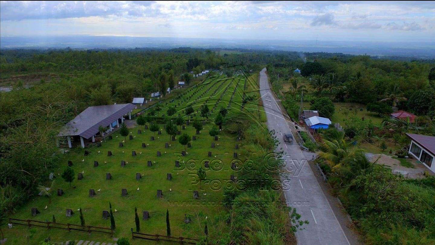 Farm Lot in Alangilan Bacolod City