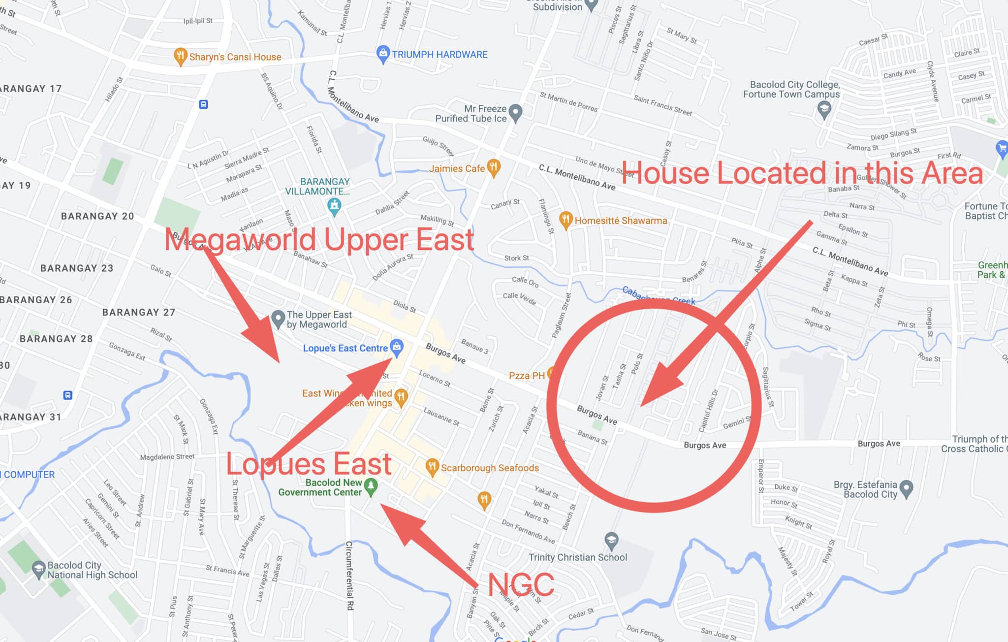 Royal Meadows Block 0 Lot 8 Bacolod City Properties