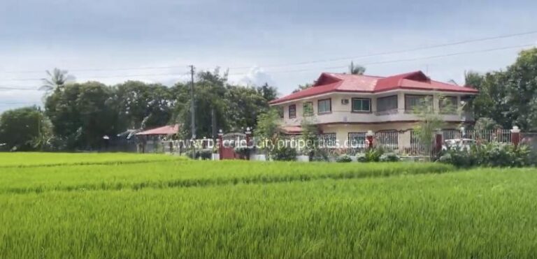 Rest house with Fish farm and Rice Field for Sale