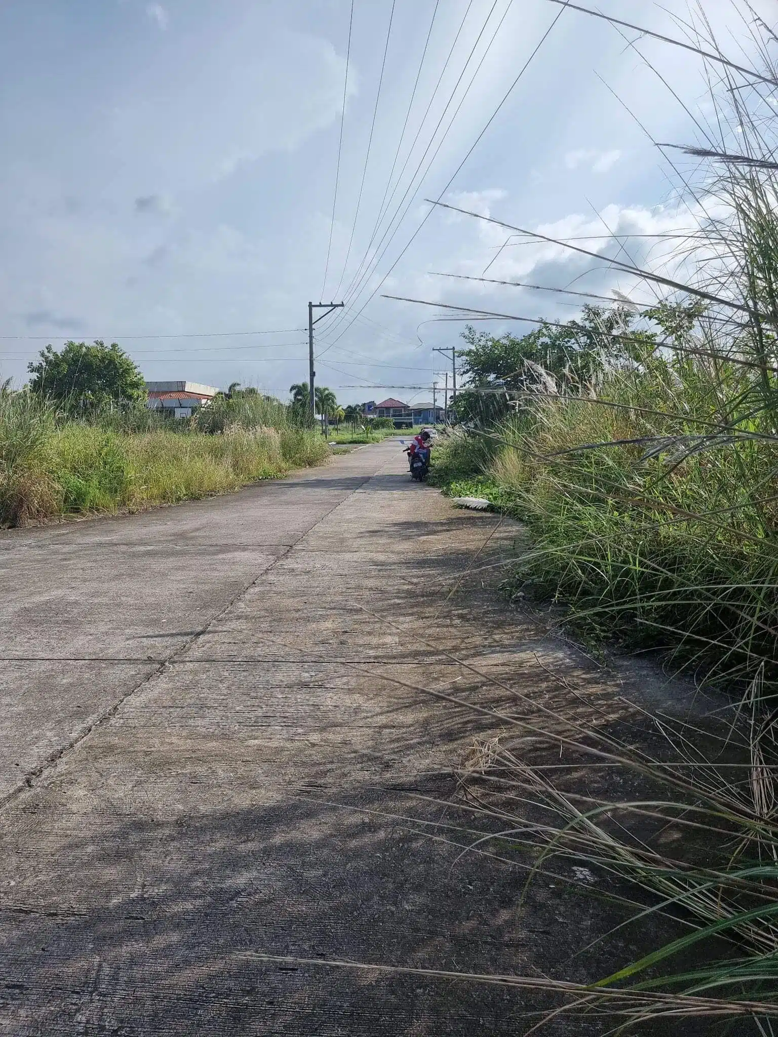 Two 150sqm Lots in Luisville Subd., Estefania