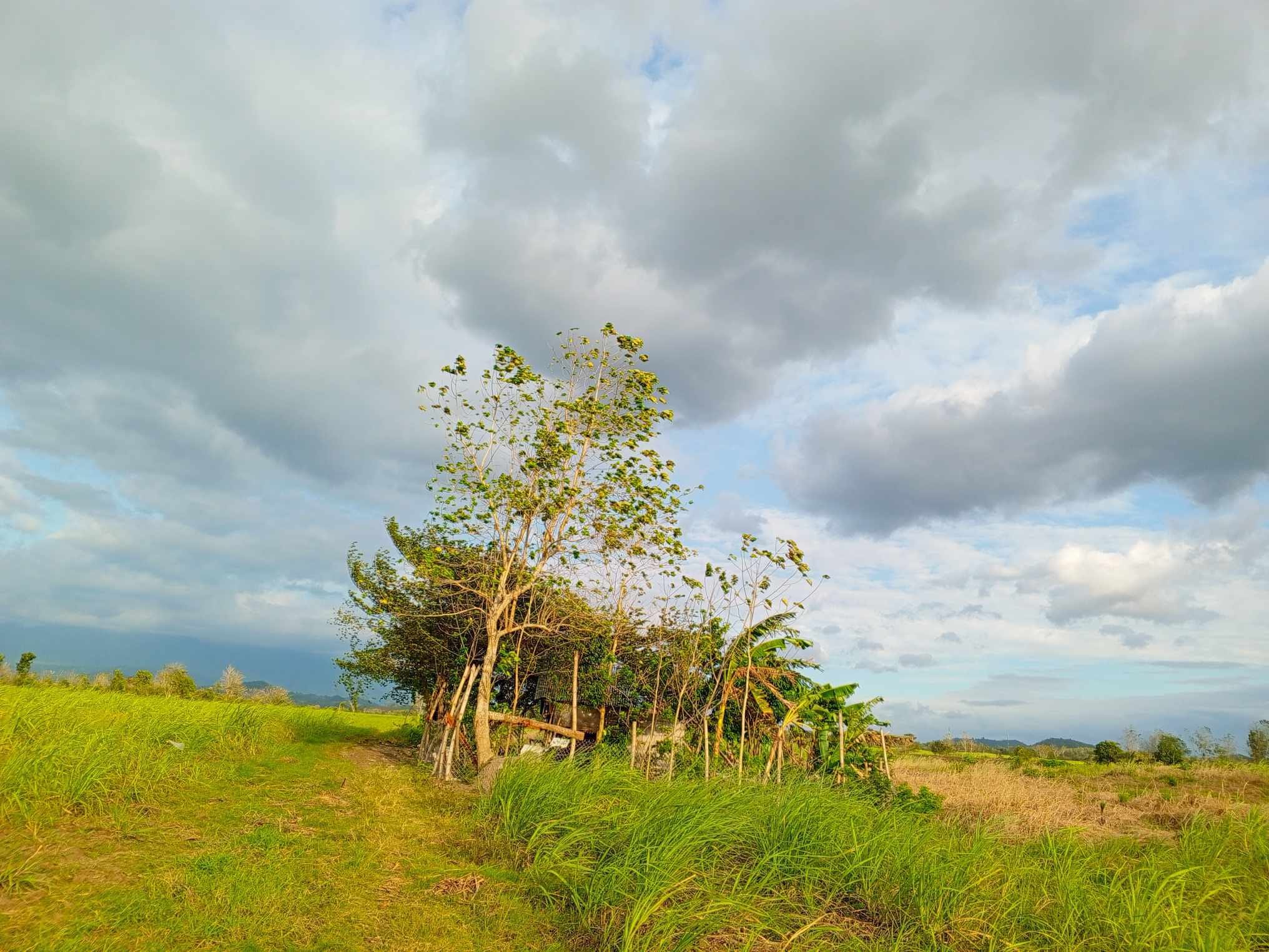 La Carlota City Lot for Sale Bacolod City Properties