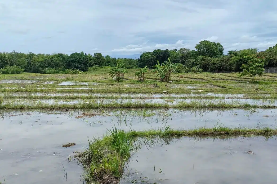 TABUNAN, BAGO CITY LOT FOR SALE