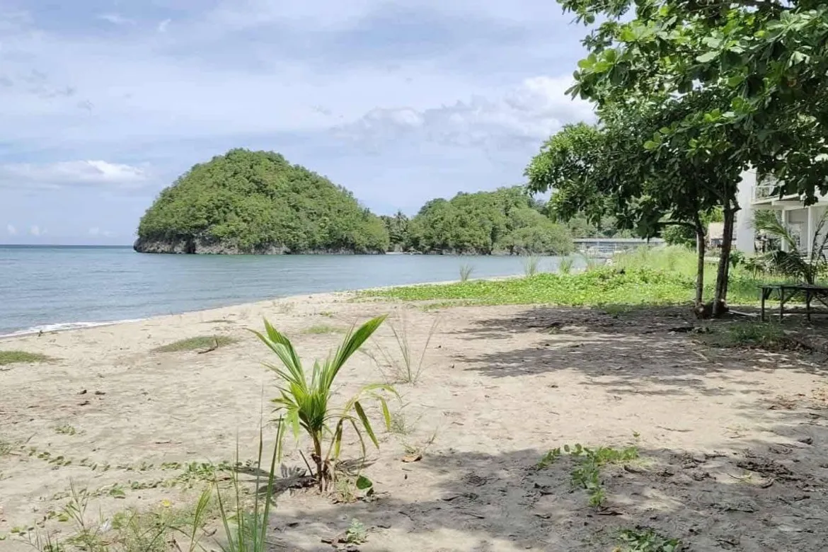 BEACHFRONT SIPALAY CITY FOR SALE