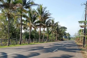 DON SALVADOR BENEDICTO LOT for SALE