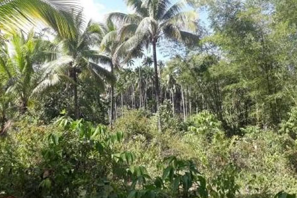 SAN MIGUEL LOT FOR SALE