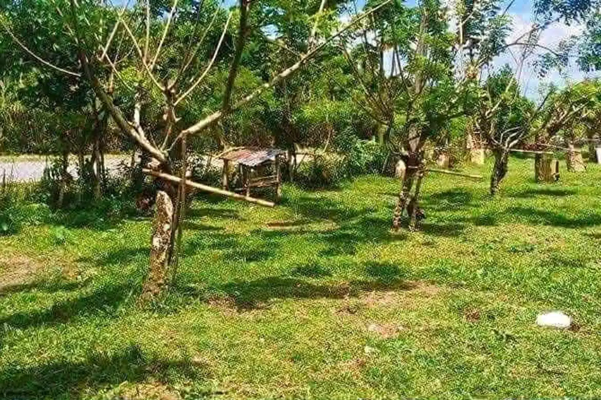 TALISAY CITY LOT FOR SALE