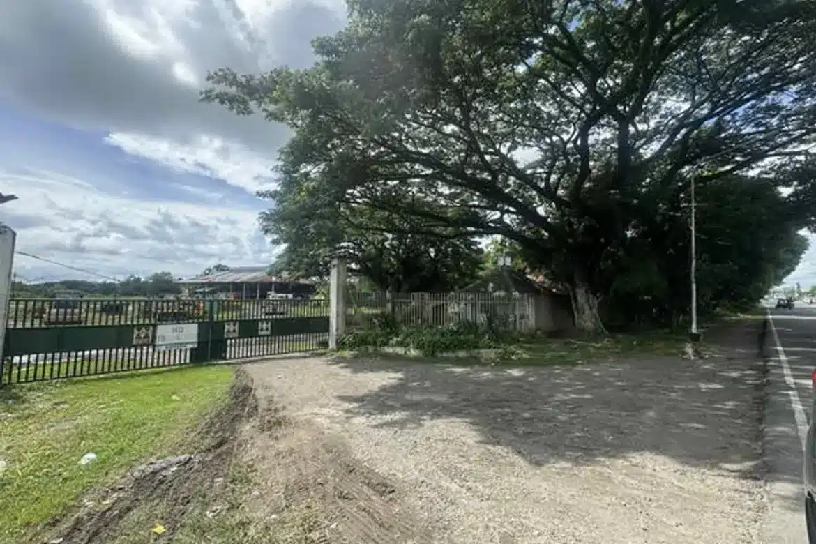 TALOC BAGO CITY LOT FOR SALE