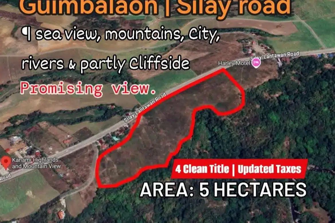 SILAY CITY NEGROS LOT FOR SALE