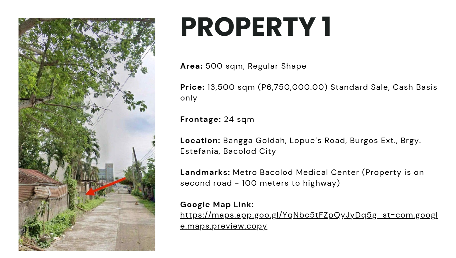 COMMERCIAL PROPERTIES IN BACOLOD CITY