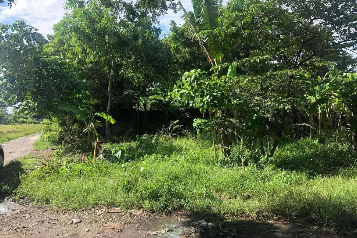 PUENTEBELLA BACOLOD CITY LOT FOR SALE