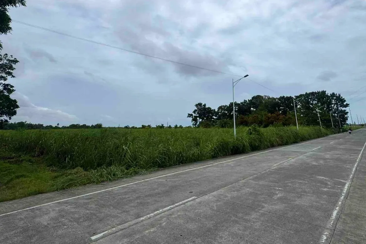 TALISAY CITY LOT FOR SALE