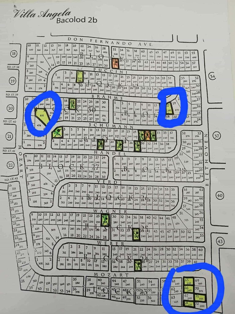 Villa Angela Phase 2 Lots for Sale Bacolod