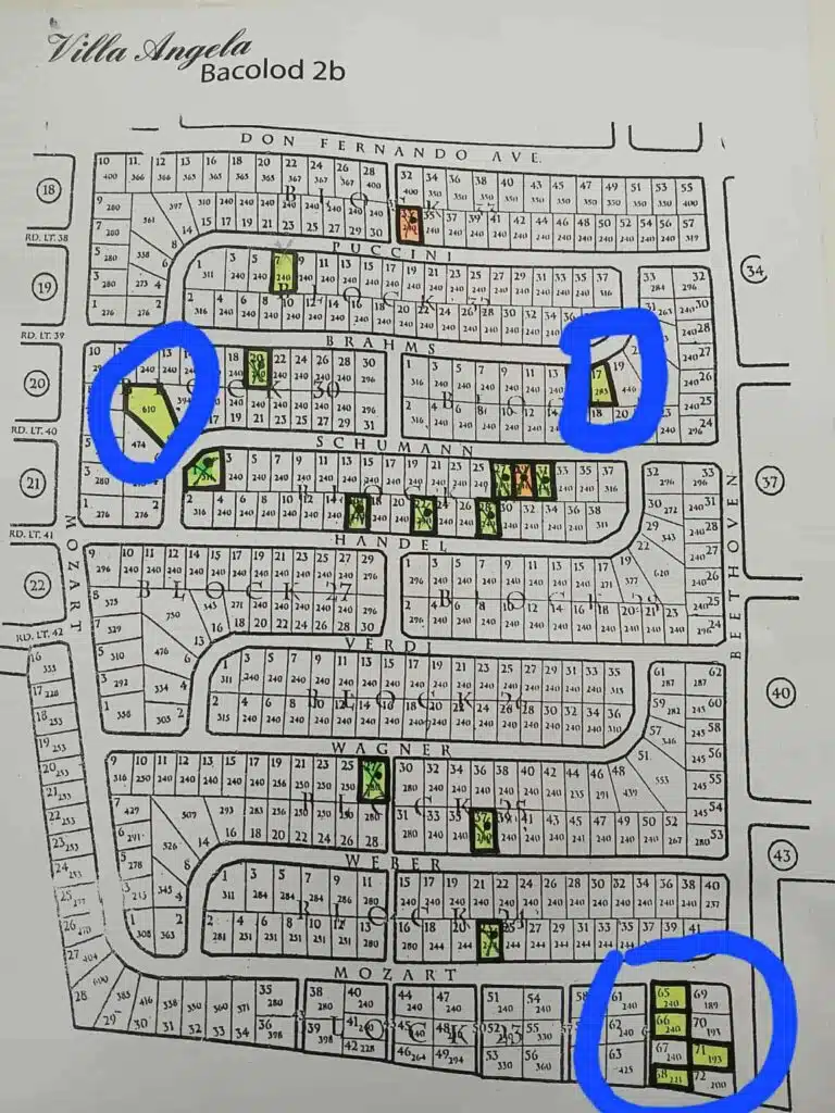 Villa Angela Phase 2 Lots for Sale Bacolod