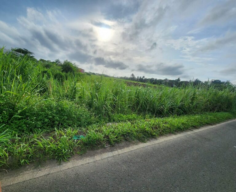 Lot for Sale EB Magalona