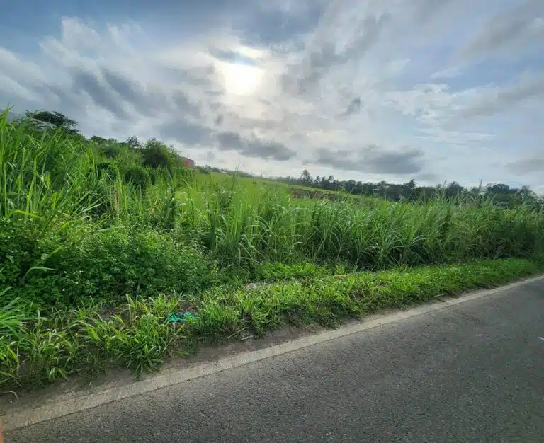 Lot for Sale EB Magalona